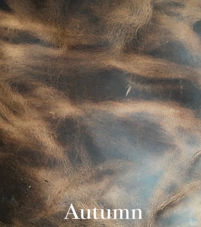The journal cover